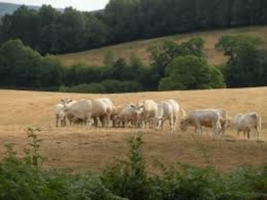 La Ferme Des Pierrettes Villa Menneville Buitenkant foto
