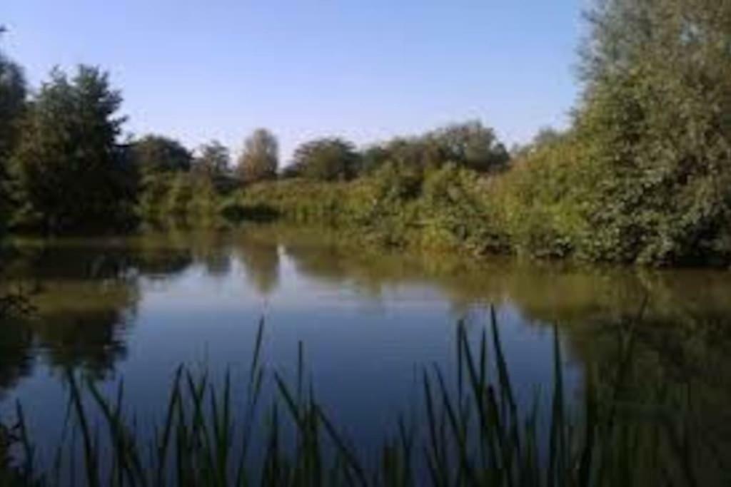La Ferme Des Pierrettes Villa Menneville Buitenkant foto